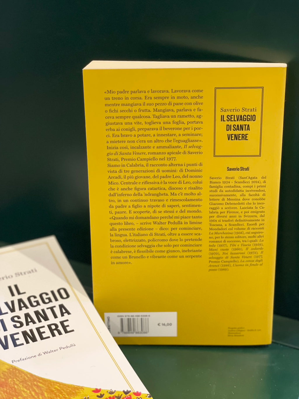 Il selvaggio di Santa Venere