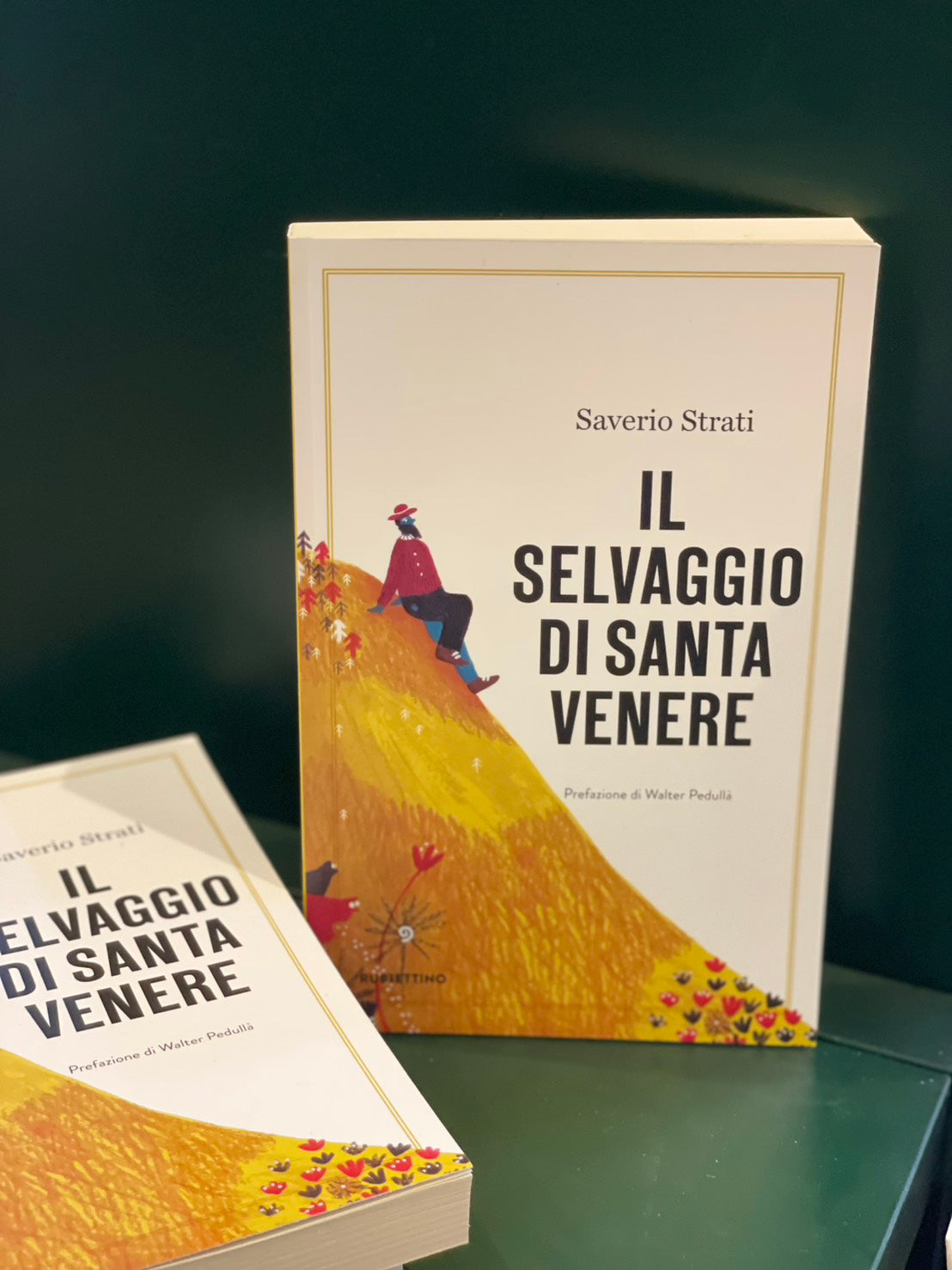 Il selvaggio di Santa Venere