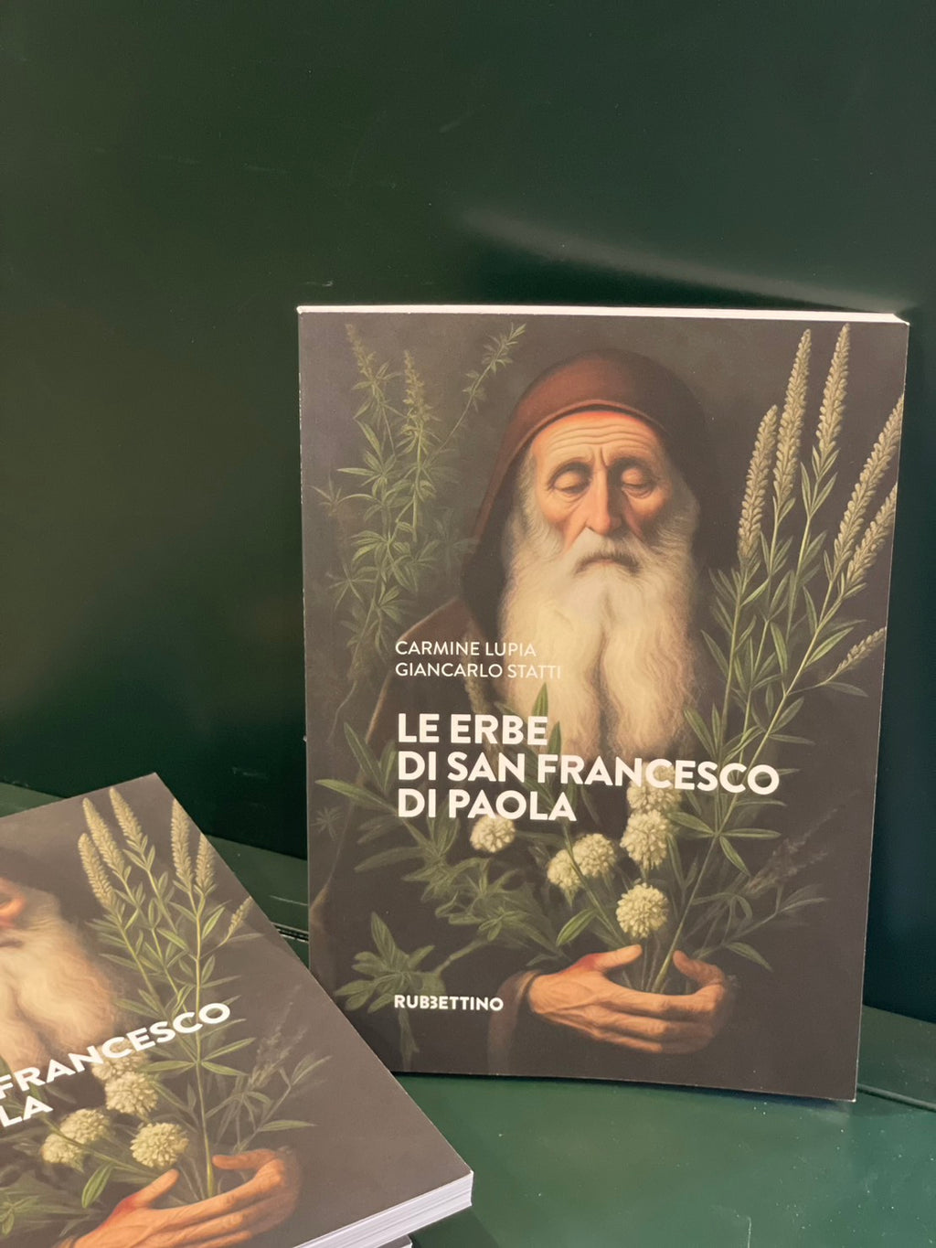 Le erbe di San Francesco di Paola